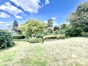 Garden- click for photo gallery